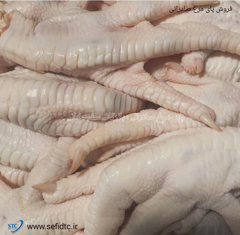 فروش پنجه و پای مرغ پاک شده صادراتی مستقیم از تولیدکننده