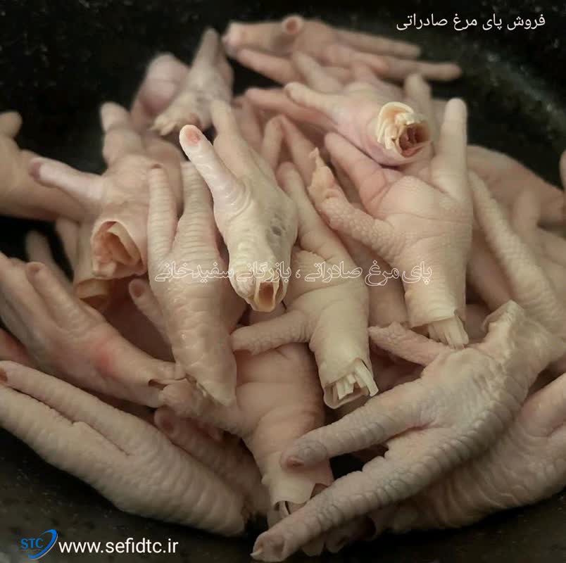 صادرات پنجه مرغ