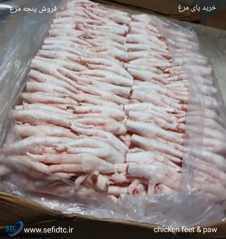 حمل و تحویل پنجه مرغ در قزاقستان
