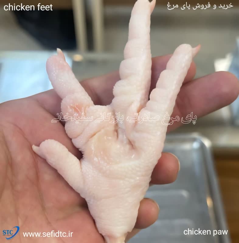 خرید پای مرغ بدون زخم کف پا