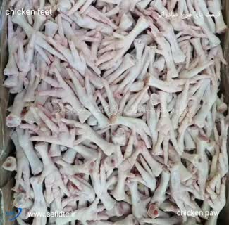 قیمت روز پای مرغ 