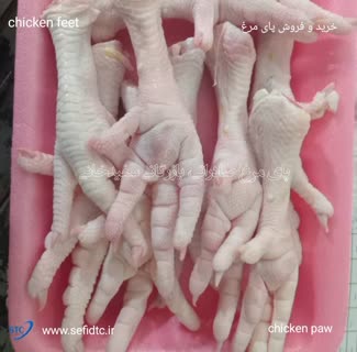 قیمت پای مرغ در بازار