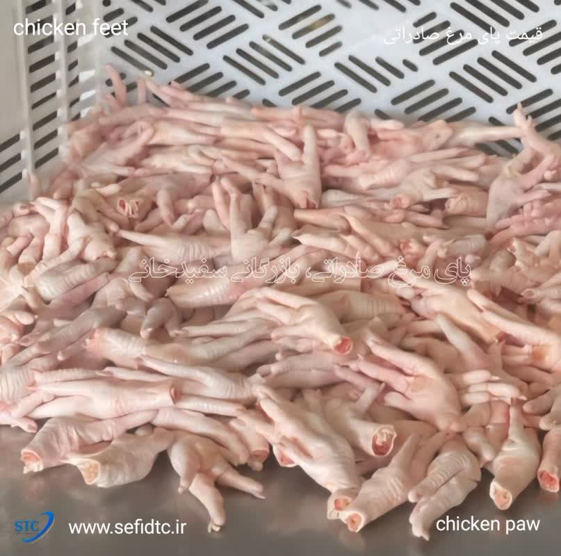 بهترین پای مرغ صادراتی